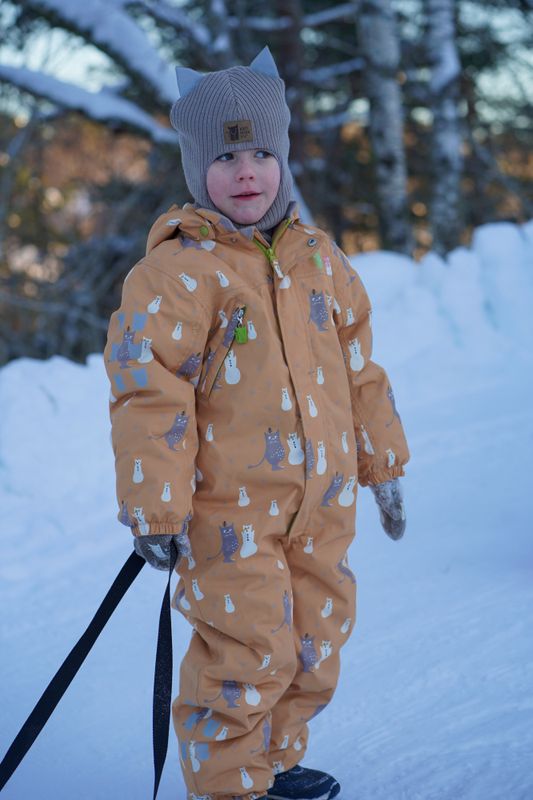 Kattnakken parkdress snø tolvmeterskogen honning